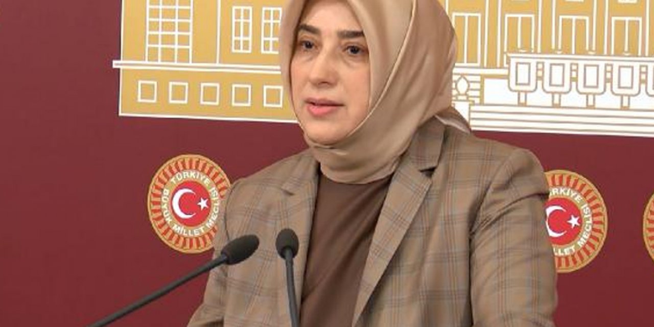 Sözleri büyük tepki çekmişti...  AKP'li Özlem Zengin'den açıklama geldi! Zengin'e göre sözleri "ifade özgürlüğü"ymüş...