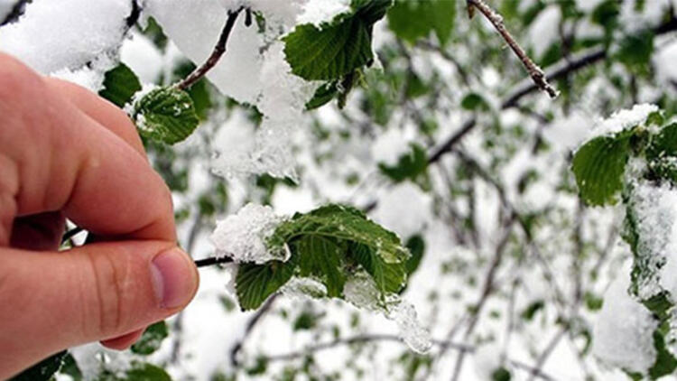 Meteorolojiden uyarı! 4 ilde Pazartesi gününe kadar sürecek