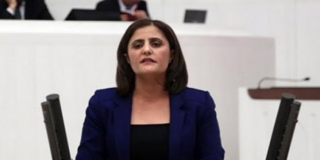 Soylu "Gara'ya gitti" demişti...  HDP'li Dilan Taşdemir hakkında soruşturma başlatıldı!