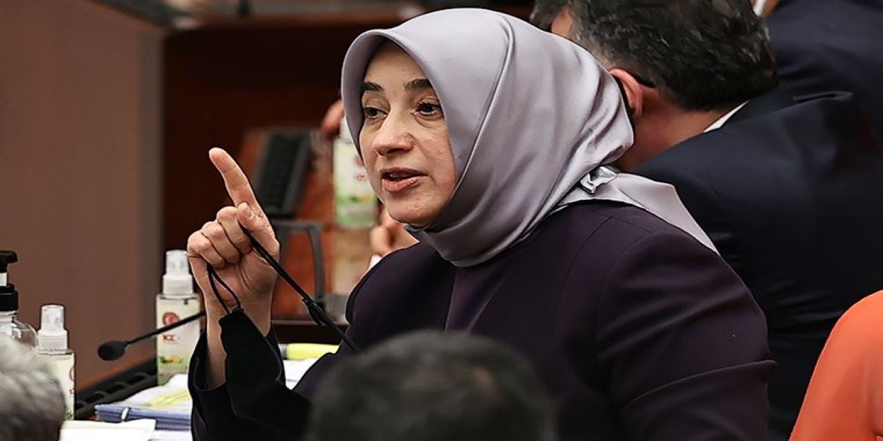 AKP'li Özlem Zengin tepki çeken ifadelerine bir yenisini daha ekledi! "Talimatla bebek sahibi oluyorlar"