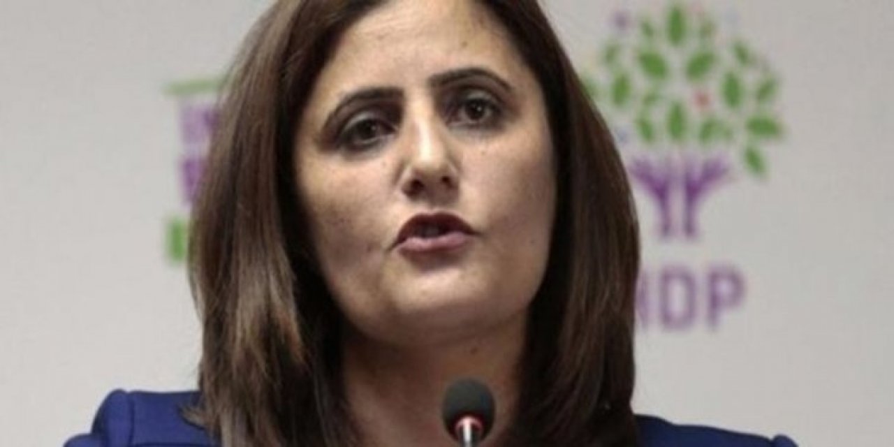 Soylu "Gara'ya gitti" demişti... HDP'li Dilan Dirayet Taşdemir'den açıklama: Bu bir koltuk kurtarma operasyonudur!