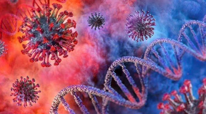 DSÖ'nün listesinde ilk 10'da yer alıyor... 'Koronavirüsten daha öldürücü olabilir' Nipah virüsü nedir?