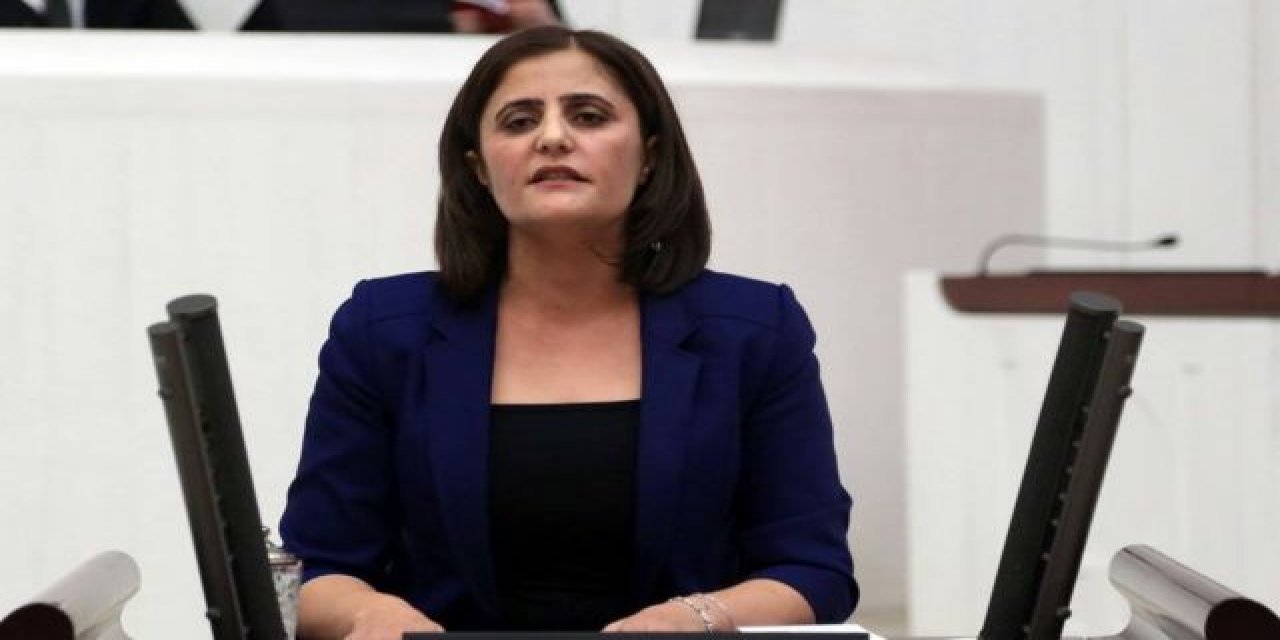 Süleyman Soylu "Gara'ya gitti" demişti... HDP'li Taşdemir: Gara'nın ne tarafa düştüğünü bile bilmiyorum
