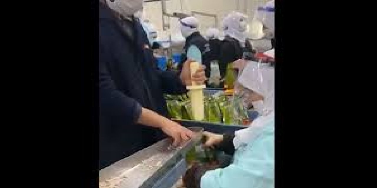 Hani el değmeden paketleniyordu?  Ton balığı fabrikasında tepki çeken görüntüler!