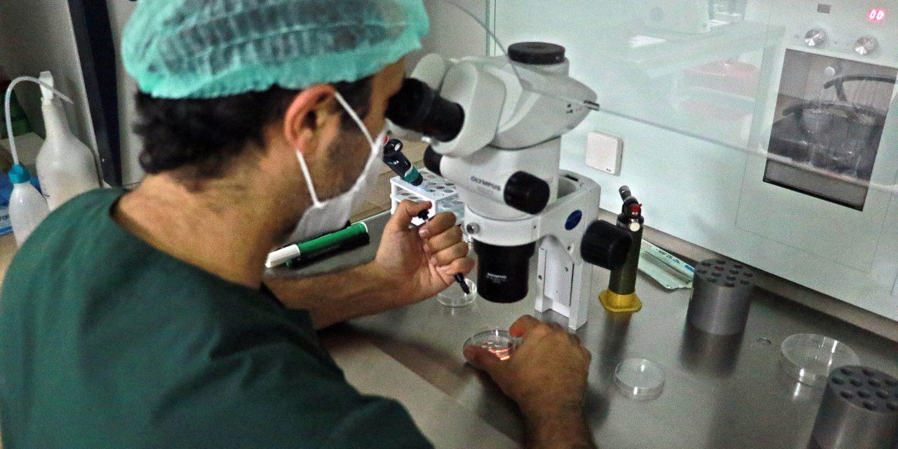 'Dondurma işlemi ile kadınlar, artık istedikleri yaşta anne olabiliyor'