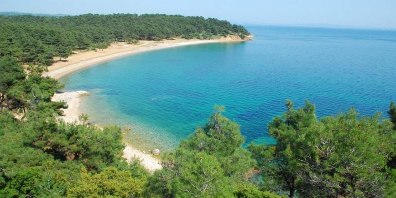 Bilirkişi raporunu dikkate alınmadı... Saros'ta BOTAŞ'tan çevre katliamı!