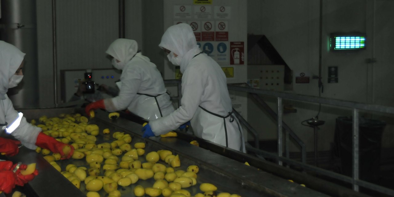 'Türkiye, 30 bin ton patates nişastası ithal ediyor'