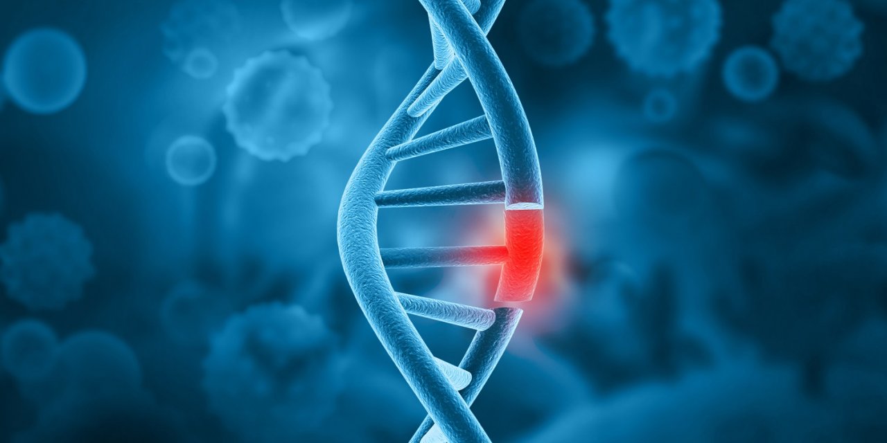 “SMA’lı Kuşaklar Kısırdöngüsü” tarama testleriyle kırılabilir