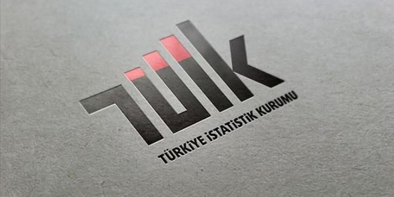 TÜİK - Taşkömürü ithalatı 2020'de 3.29 milyon tona yükseldi