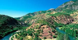 Tunceli ve Erzincan'da doğa katliamı: Yarısı madenlere ruhsatlanmış