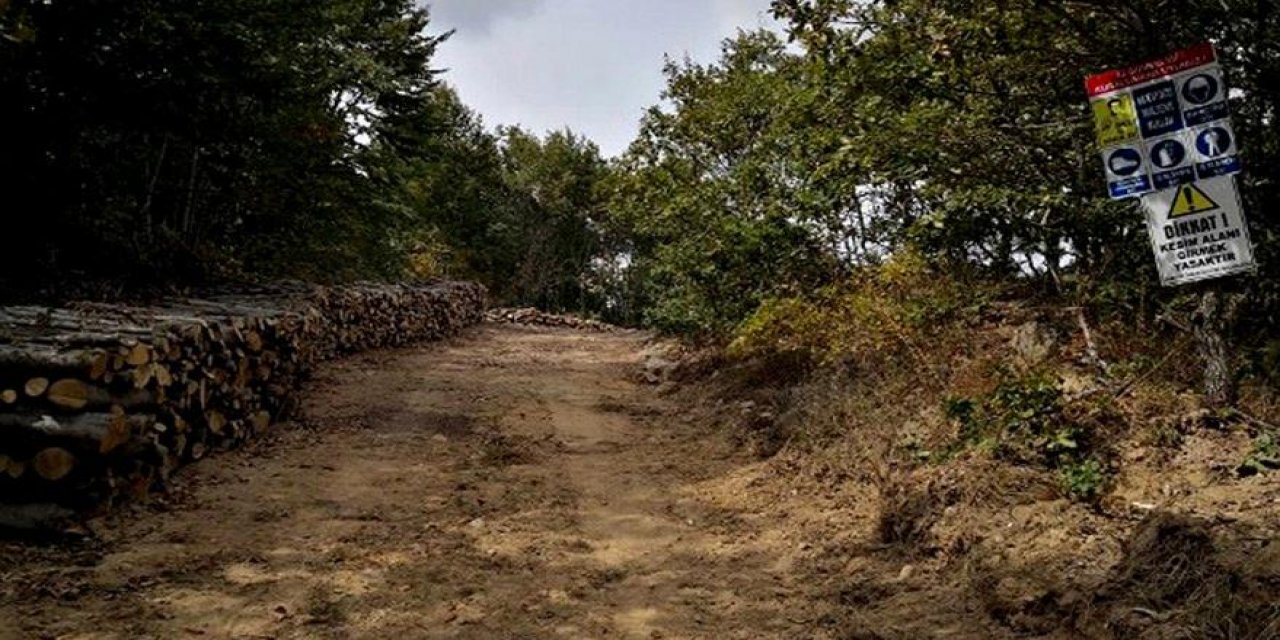 ÇED raporundan muaf tutulmak için! 13 bin hektarlık alanı 13'er hektara bölmüşler...