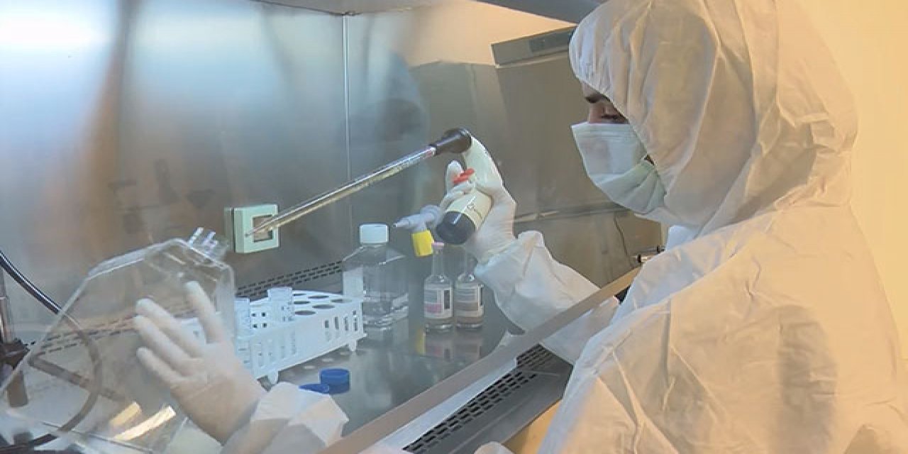 Yeni doğan kordon dokusu Kovid hastalarına umut oldu!