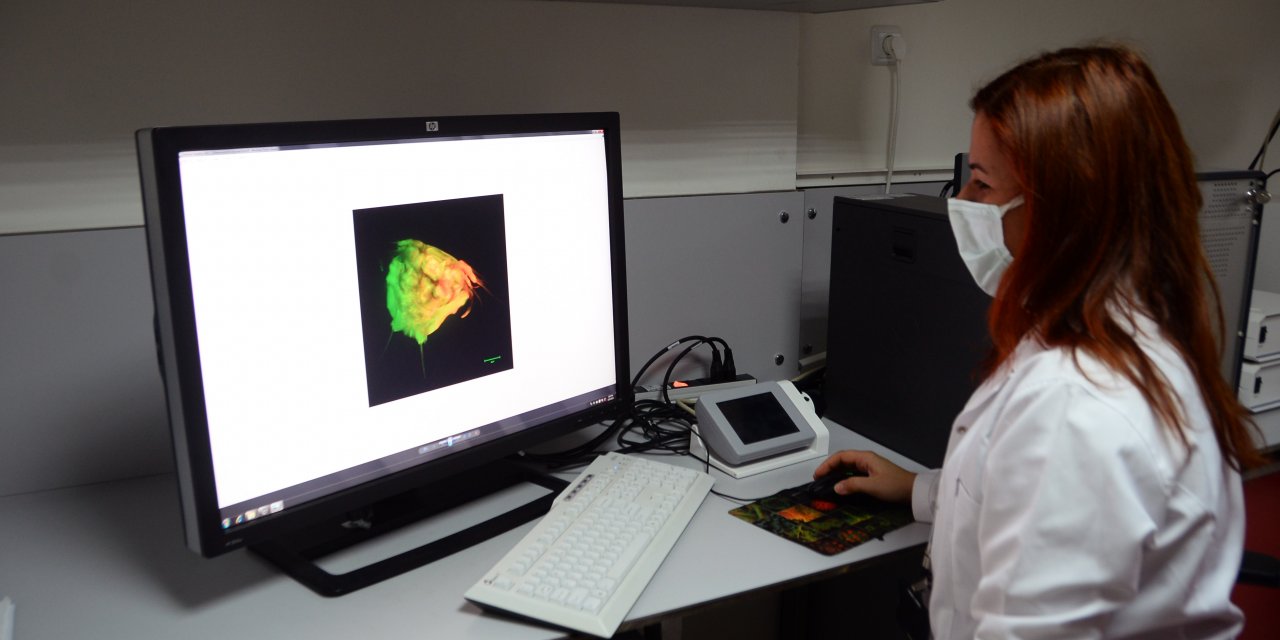 Bilim insanlarından 'kanser aşısı' çalışması