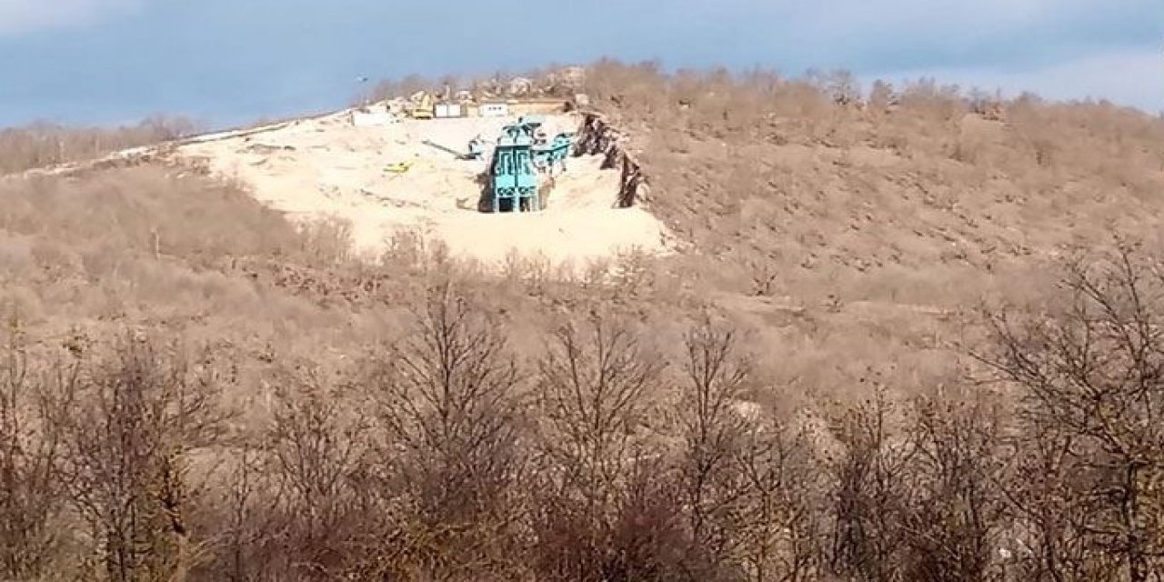 "10 binden fazla ağaç kesilecek" Devlet Demir Yolları’nın "taş ocağı" projesi için ağaç katliamı yapılacak!