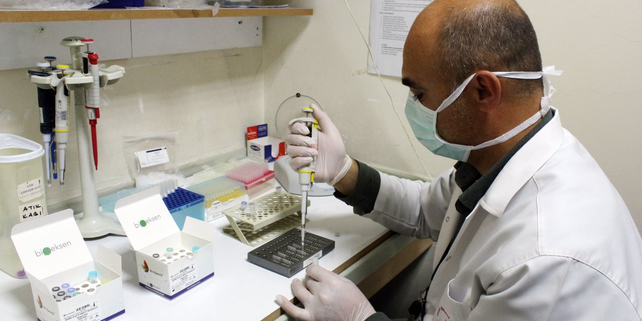 Mutasyonlar koronavirüs vaka sayısını artırdı, en çok İngiltere mutasyonu görüldü