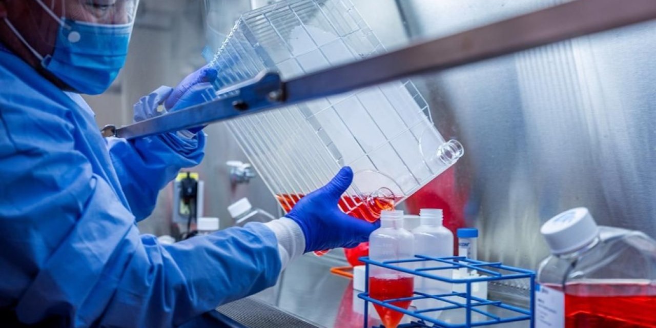 Her 100 pozitif vakadan 86'sında semptom yok!