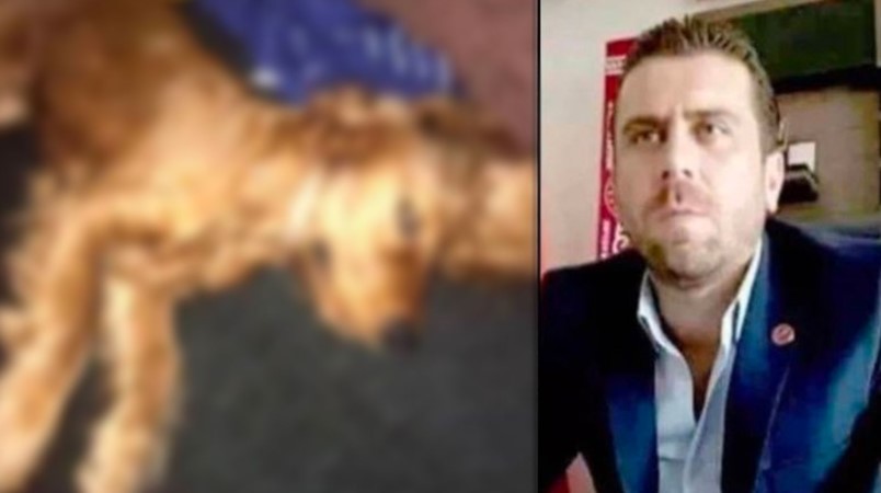 Köpeğe tecavüz ederek ölümüne neden olmuştu! Yeni gelişme!