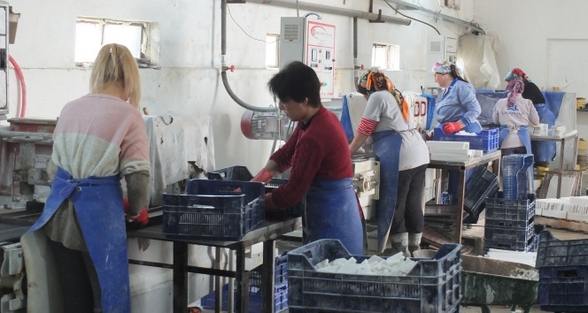 Kadın işçilerin maruz kaldığı şiddet gözler önüne serildi!