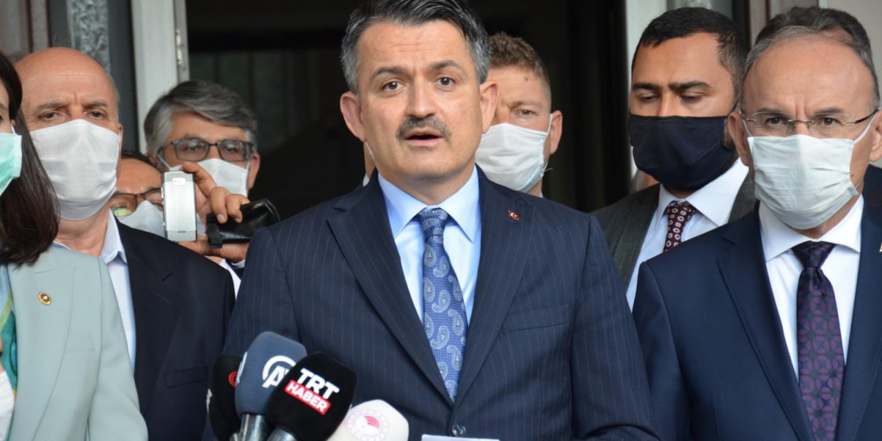 Hatay'daki orman yangınıyla ilgili korkunç şüphe!