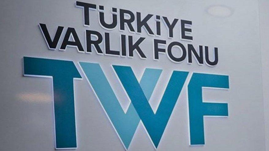 Yönetim kurulu üyeliği görevinden ayrıldı; 4 ay sonra genel müdür olarak geliyor... Varlık Fonu'nda genel müdür değişikliği
