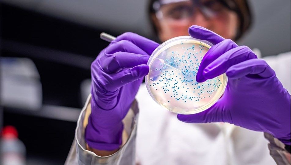 Yeni bir koronavirüs varyantı daha! Japonya'da görüldü