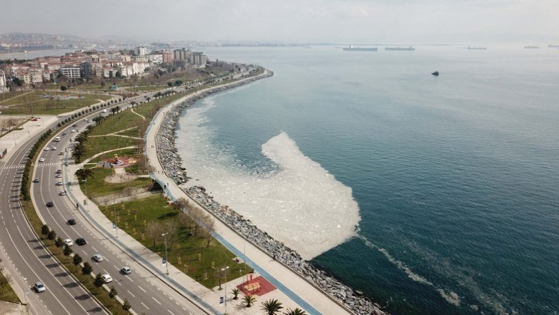 Görenleri tedirgin etti... Kartal ve Pendik sahilinde korkutucu görüntüler