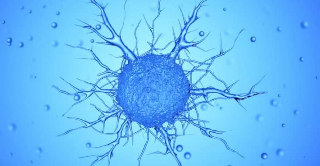 ABD'li bilim insanları açıkladı: Kanser hücreleri uyku haline geçerek kemoterapiden kaçabilir