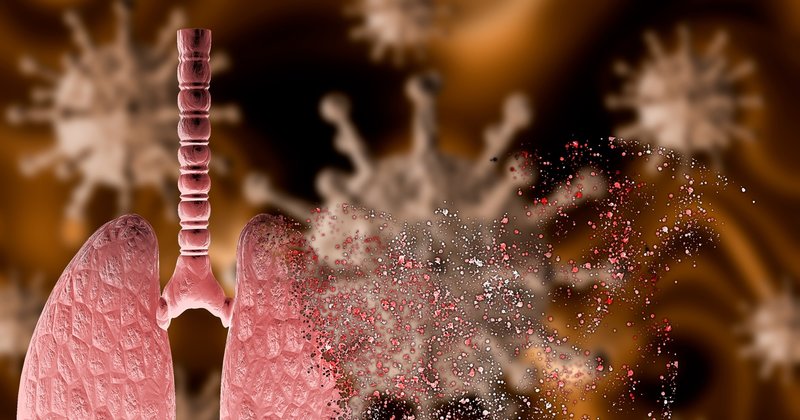 Prof. Dr. Arıca: Quercetin koronavirüste akciğer hasarını engelliyor