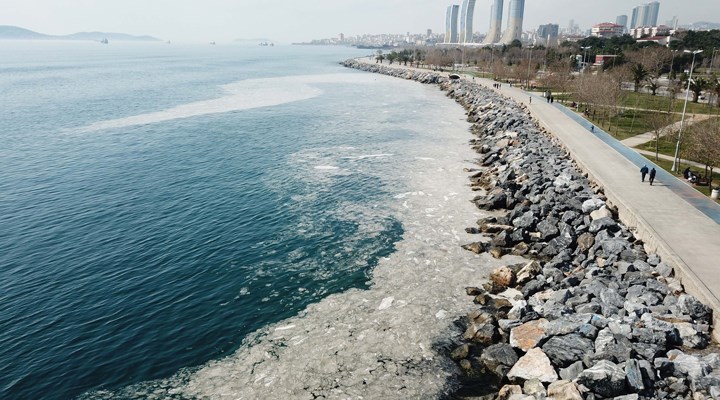 Pendik ve Kartal sahilindeki görüntü herkesi şoke etmişti... Sebebi belli oldu!