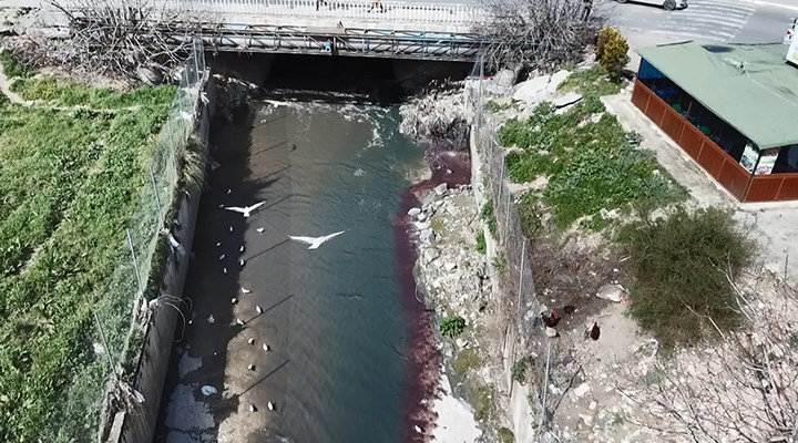 Çevre bilinci sıfır... Önce Arnavutköy'de şimdi de Esenyurt'ta bir dere renk değiştirdi!
