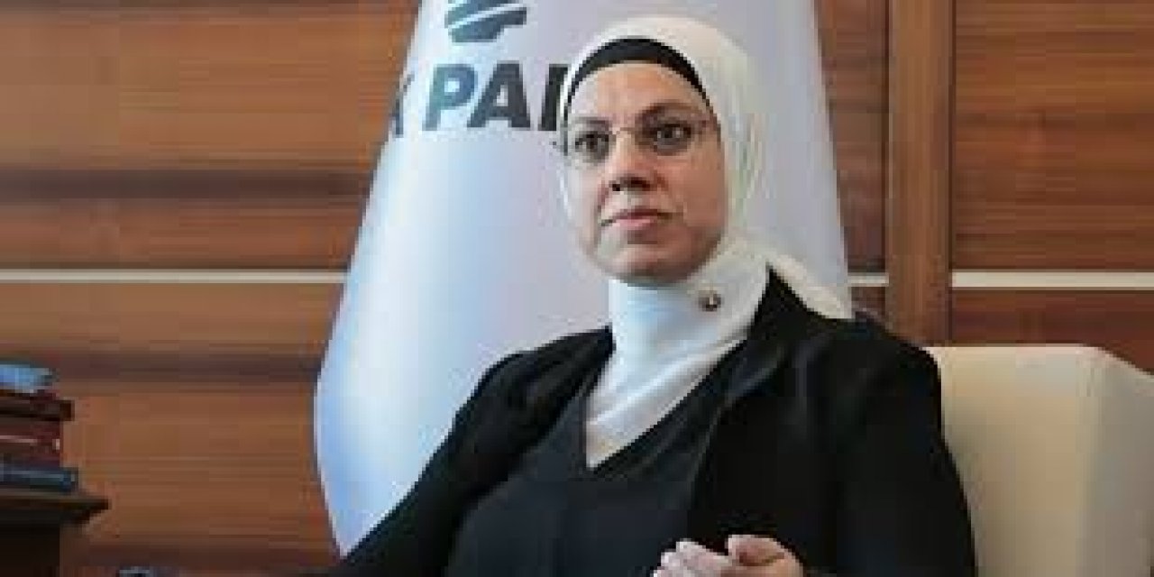 Gergerlioğlu’nun "Merve Kavakcı" benzetmesine AKP'li Ravza Kavakcı Kan'dan tepki! "Bitmedi bir türlü had bildirme sevdanız!”