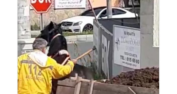 Ülkede şiddet son bulmuyor! Yükü çekemeyen ata keserle vurdu
