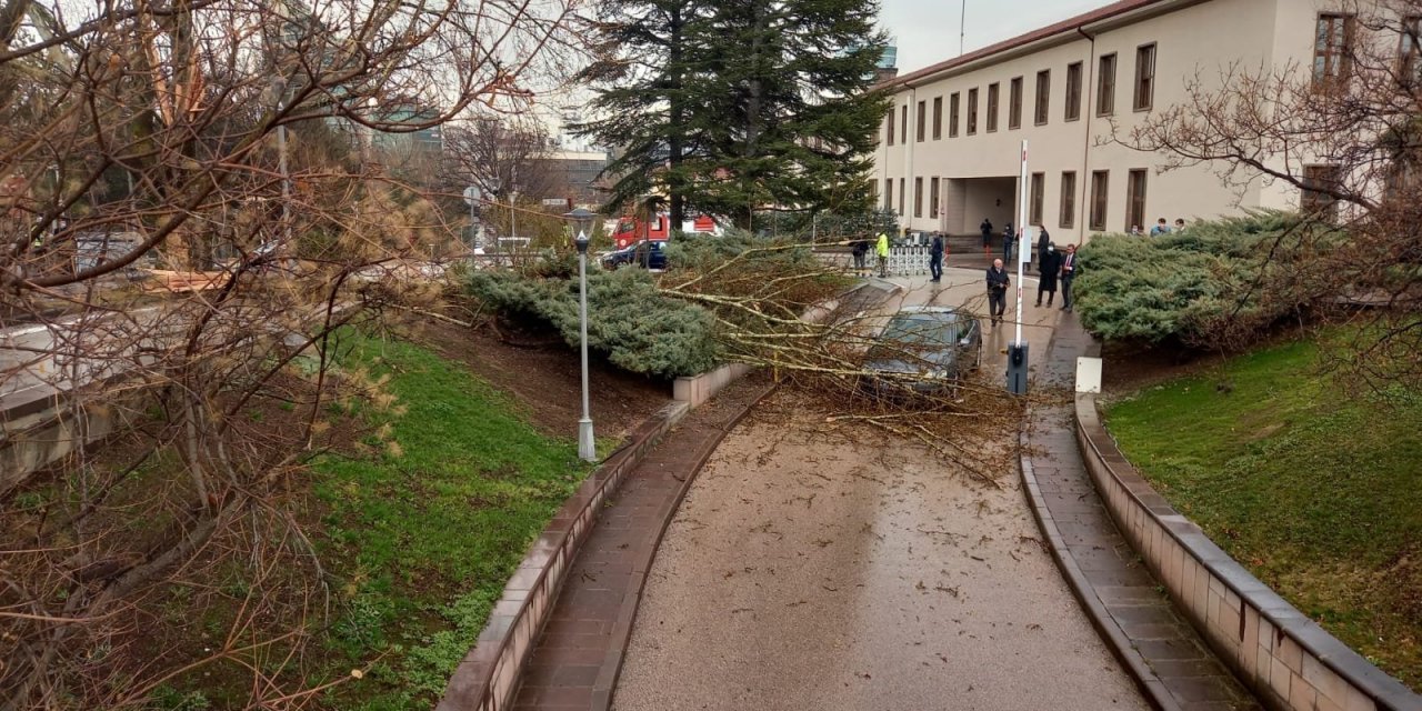 Meclis bahçesine yıldırım düştü!