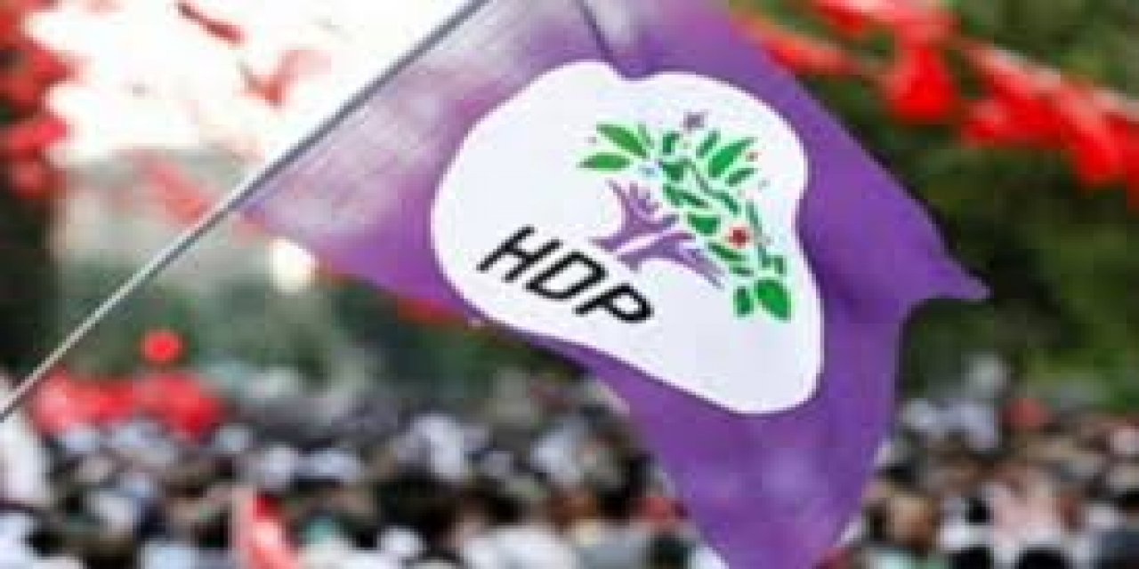 HDP'den AYM'ye "Gergerlioğlu" başvurusu!