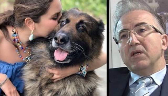 Komşusunun köpeğini öldürmüştü... Alp Erkin'e TMSF'den büyük şok!