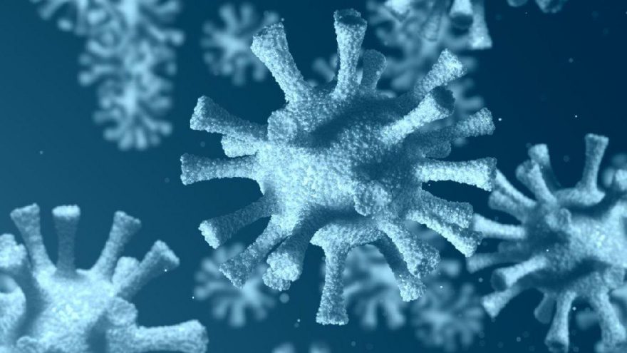 Koronavirüsü alt eden virüs ortaya çıktı!