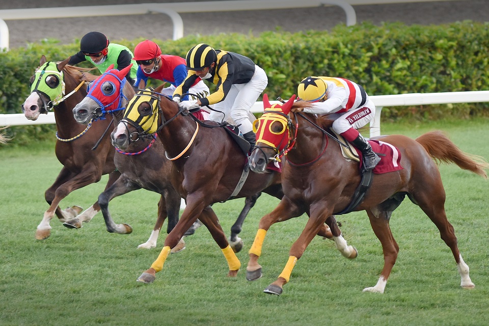 TJK Başkanı Serdal Adalı'nın listesi belli oldu