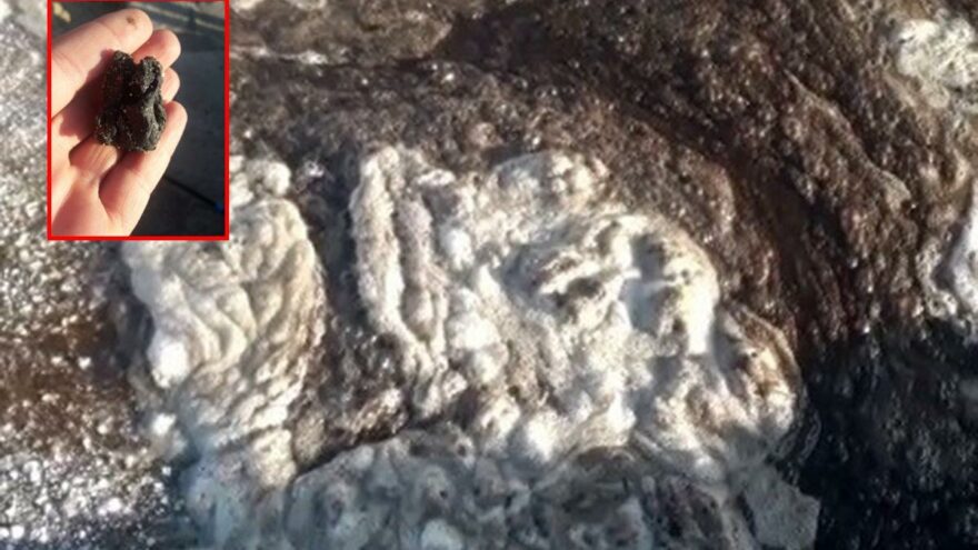 Adana’da ortaya çıktı! Vali hemen talimat verdi