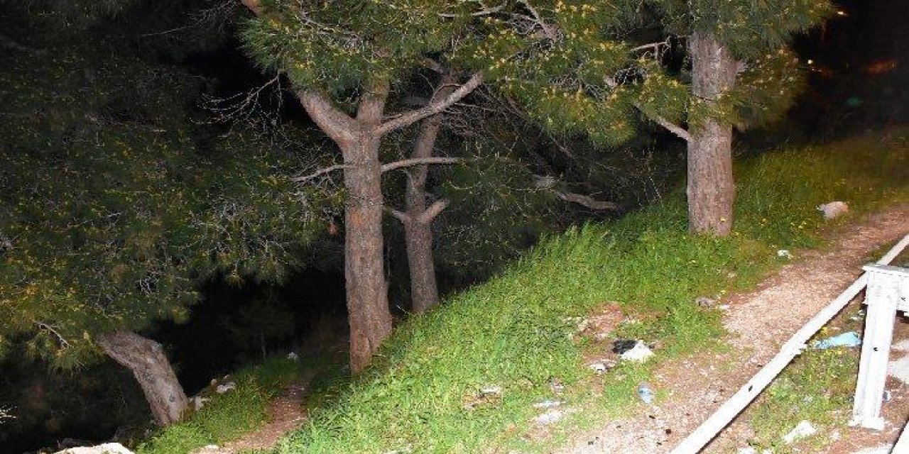 İzmir’de kan donduran olay! Kadına ait kafatası ve kaburga bulundu!