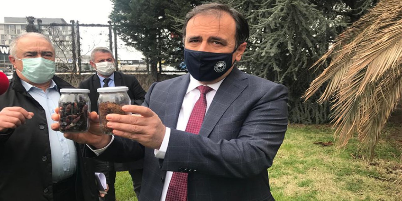 900 metre uzağa uçabiliyor... İstanbul'daki büyük tehlike!