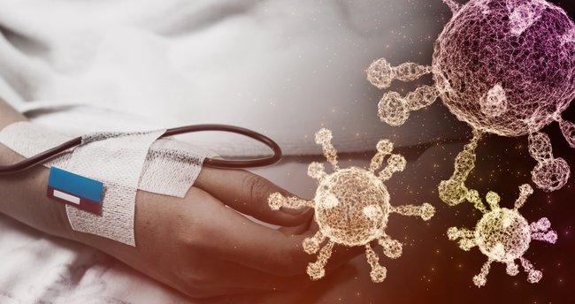 “Kuersetinin, kronik hastalıklarla mücadelede de önemli rol oynar”