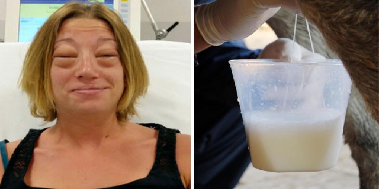 Eşek sütünde ölüm riski!