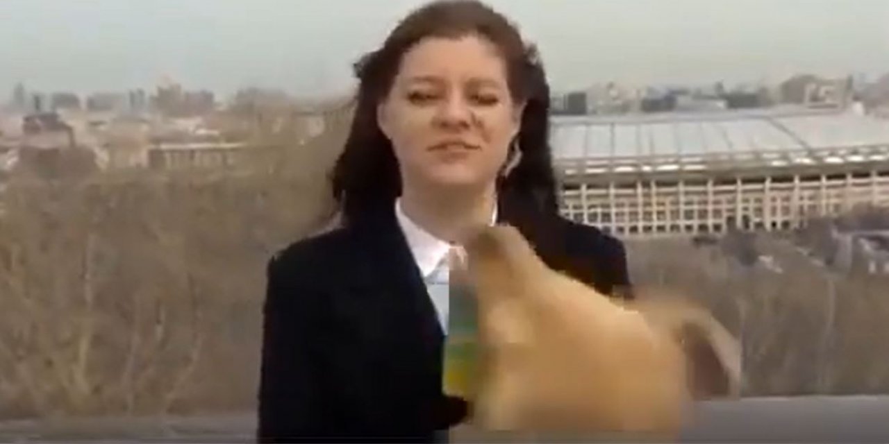 Sosyal medyada gündem oldu! Canlı yayında muhabire büyük şok! Köpek Mikrofonu oyuncak sanınca bakın neler yaşandı?