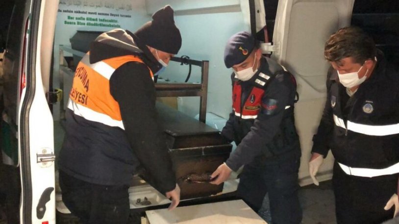 Oğlunu öldürdü, hiçbir şey olmamış gibi hayatına devam etti!