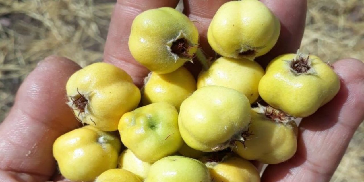 Şifa deposuydu, hastanelik etti! Aman dikkat...