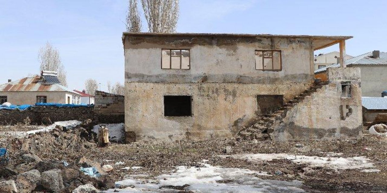 Bu nasıl canilik! 70’e yakın köpek ölüsü bulundu!