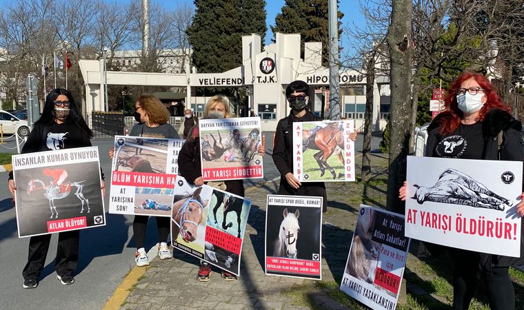 Veliefendi’de at yarışı protestosu 'Atlar, pistlere değil, doğaya aittir!'