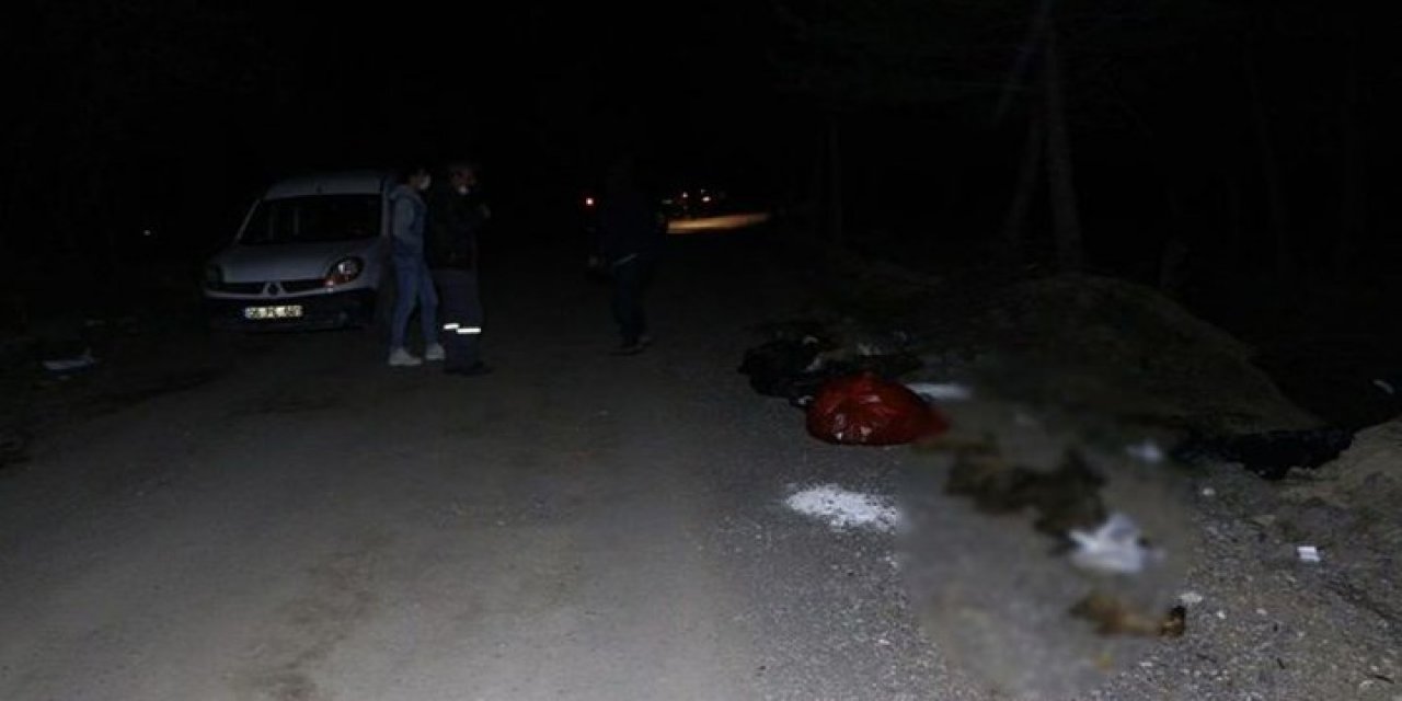 Ankara'da patilerine damar yolu açılmış 30'dan fazla köpek ölü bulundu!
