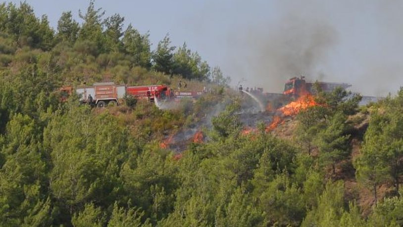 Hatay’daki orman yangınıyla ilgili iddianame kabul edildi
