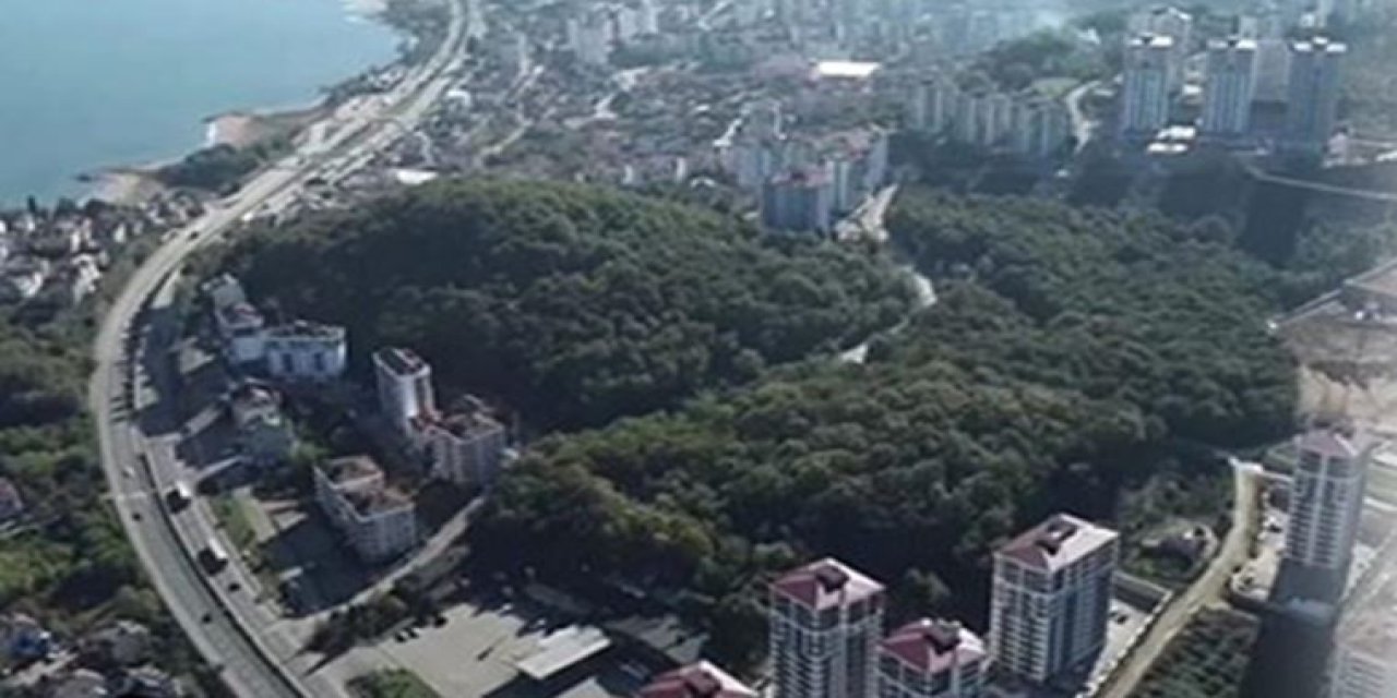 Yine Cumhurbaşkanlığı kararı... Bu kez yer: Fatsa Şehrin ortasındaki ormanlık alan yapılaşmaya açıldı!
